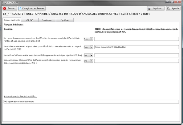 AuditPE v1.0.1 - Exemple de formulaire société